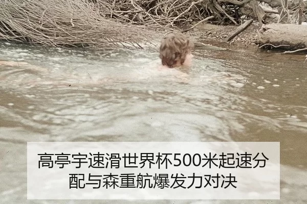 高亭宇速滑世界杯500米起速分配与森重航爆发力对决