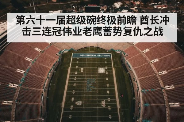 第六十一届超级碗终极前瞻 酋长冲击三连冠伟业老鹰蓄势复仇之战