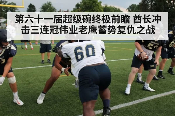 NFL defensive line