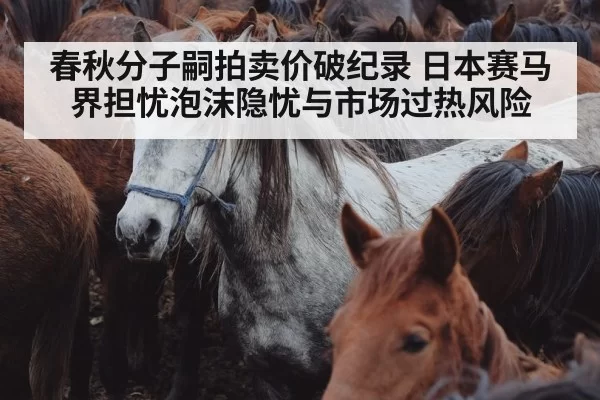 春秋分子嗣拍卖价破纪录 日本赛马界担忧泡沫隐忧与市场过热风险